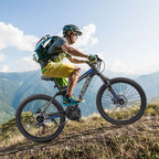Dual Full Suspension Mountain Bike