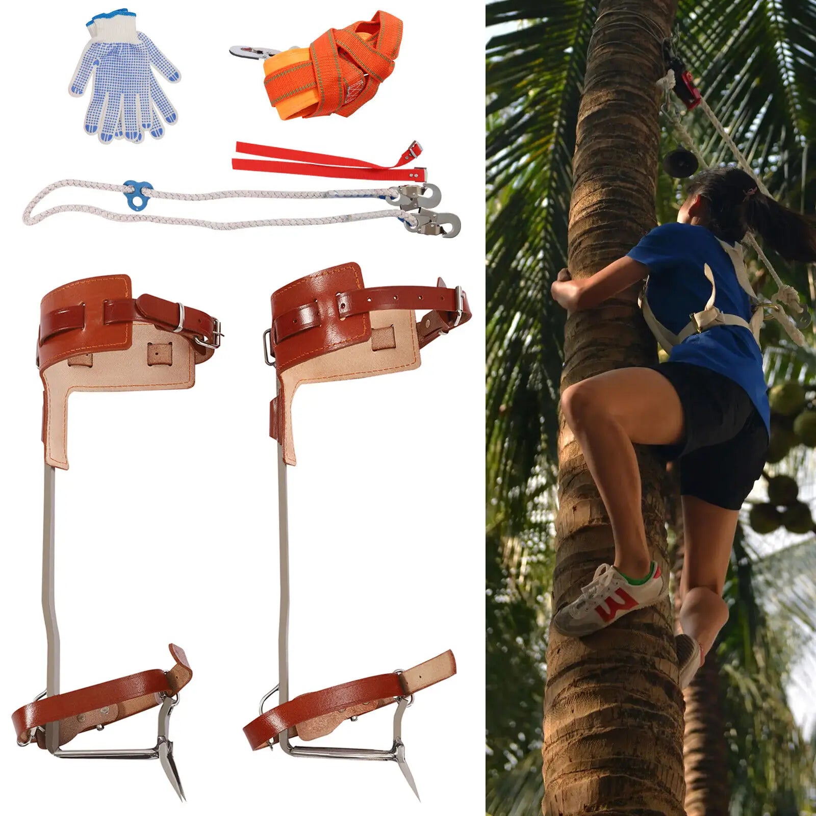 Tree Climbing Spike Set Adjustable Spurs